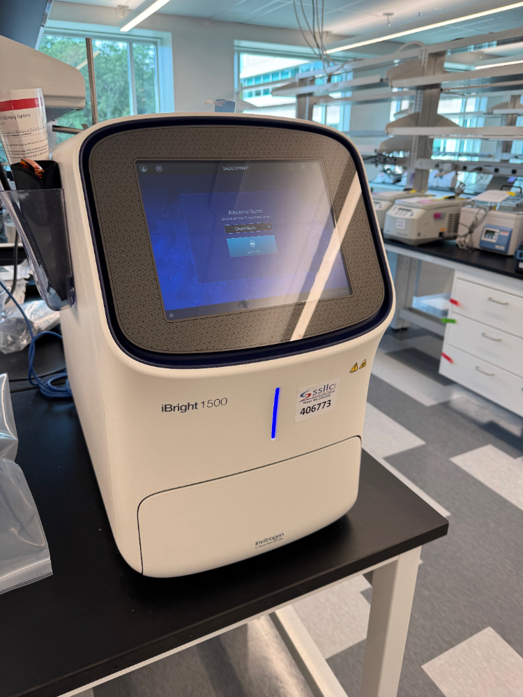 Image of Invitrogen iBright FL1500 Imaging System